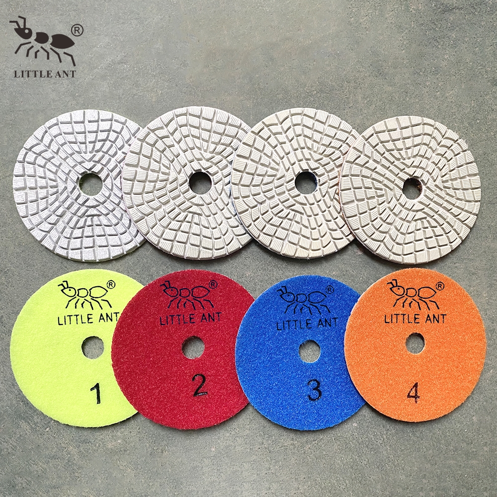 _0011_H3WP4-BL Piccola formica