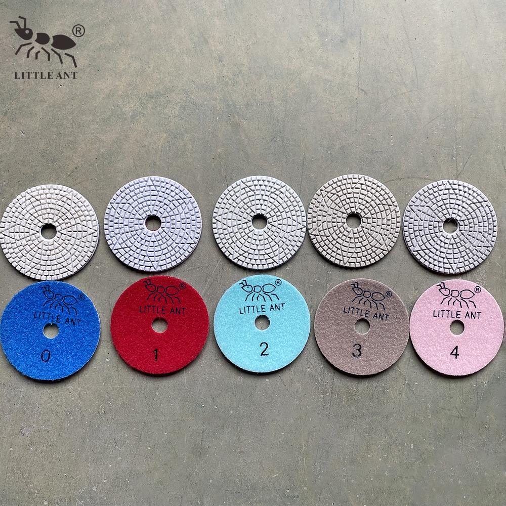 _0012_3WP4-ST 5 Piccola formica