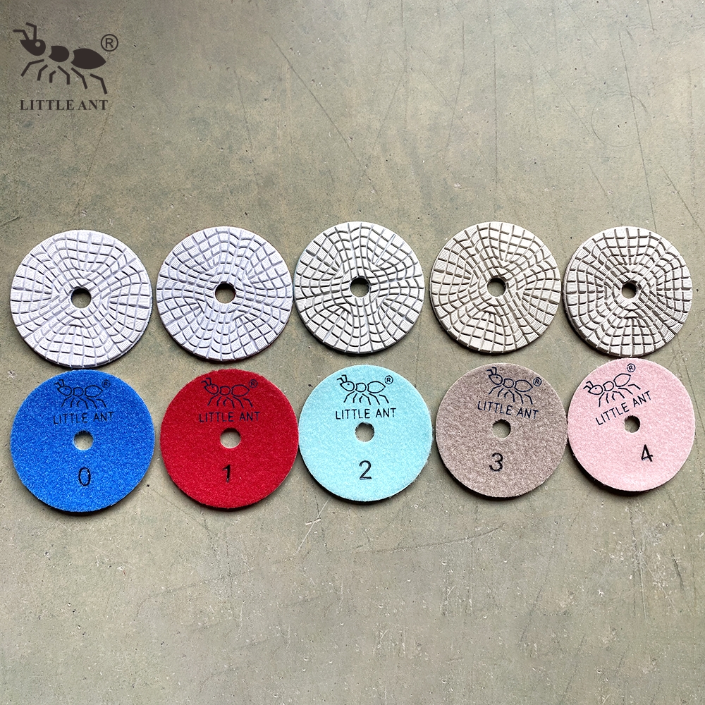 _0023_3wp4-B-B-5 Piccola formica