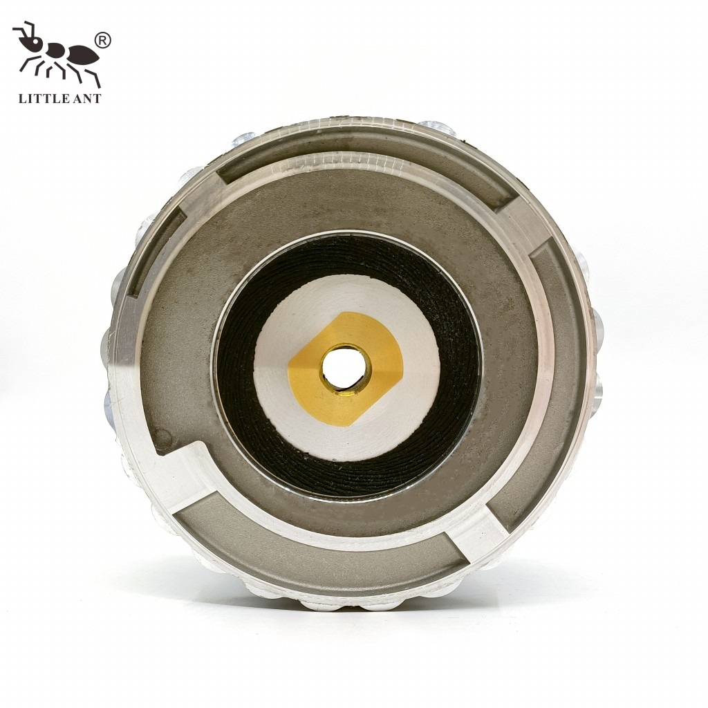 LITTLE ANT Snail Lock Supporto per tampone diamantato per lucidatura per collegamento utensile blocco molatura pietra